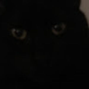 Meet your Posher, Blondiebabey86